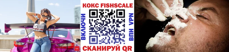 КОКАИН Fish Scale  Купить закладки  Зима 