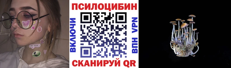 Купить закладки  Зима  Галлюциногенные грибы GOLDEN TEACHER 